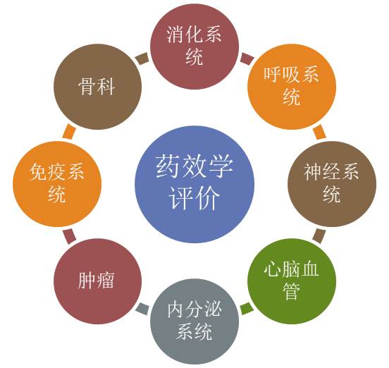 药效学评价研究